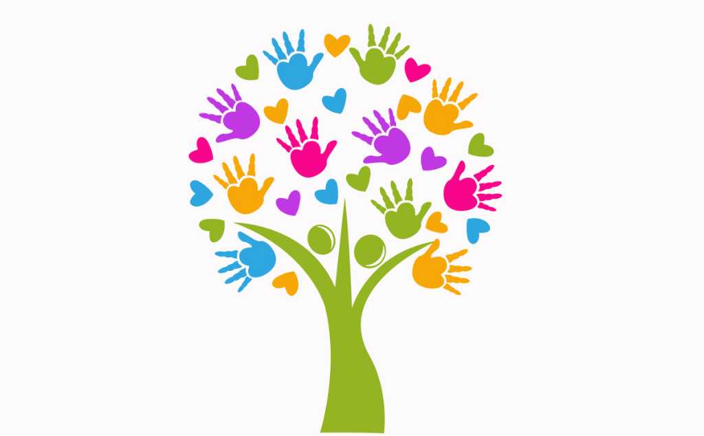 Necessidades de Saúde Especiais em Meio Escolar - Nível Básico