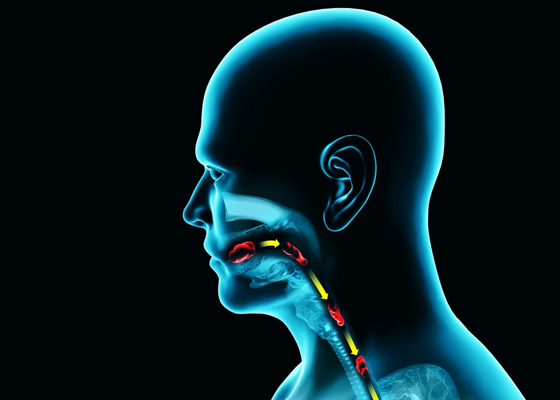 Workshop Deglutição Comprometida