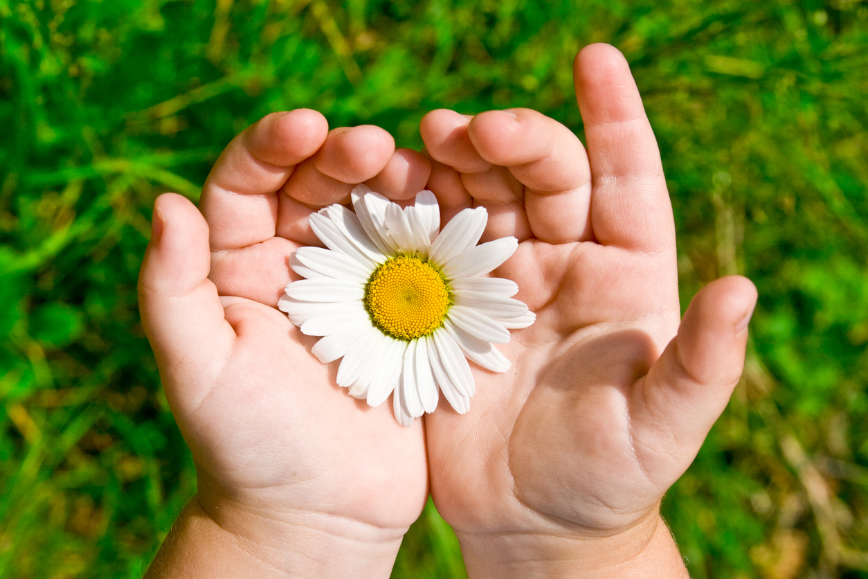 Padrões de Qualidade dos Cuidados de Enfermagem